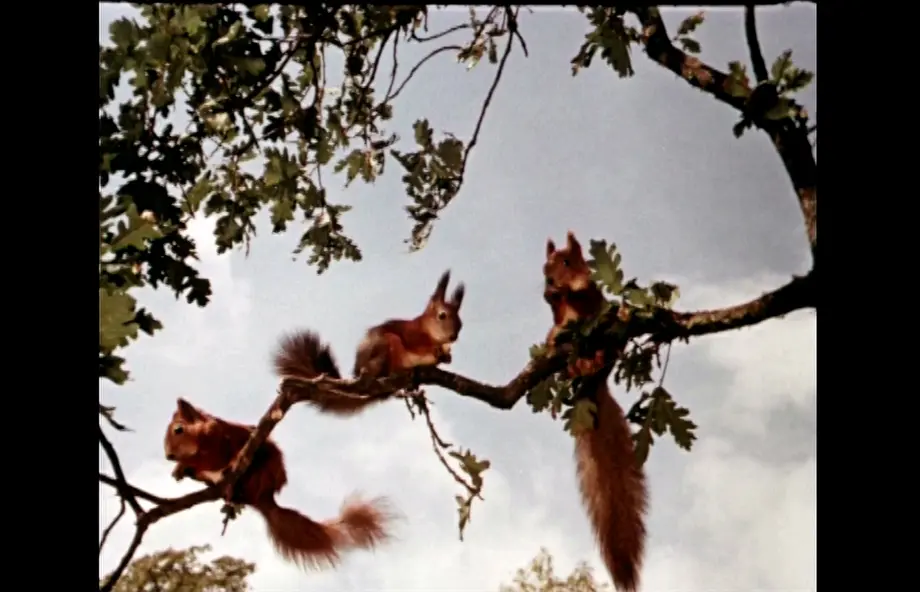 изображение галереи 1