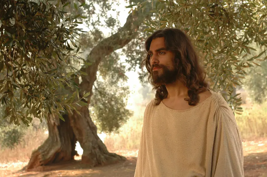 изображение галереи 1