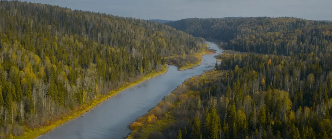 изображение галереи 1