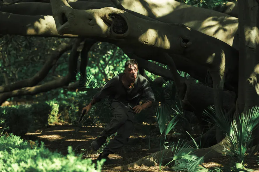 изображение галереи 1