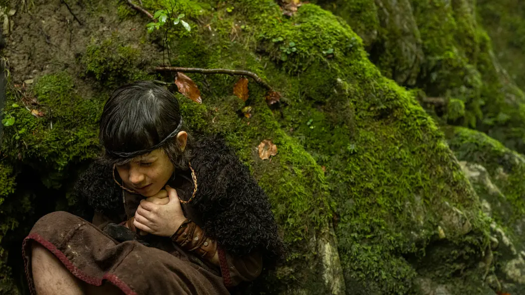 изображение галереи 1