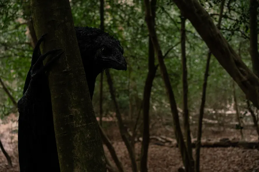 изображение галереи 1