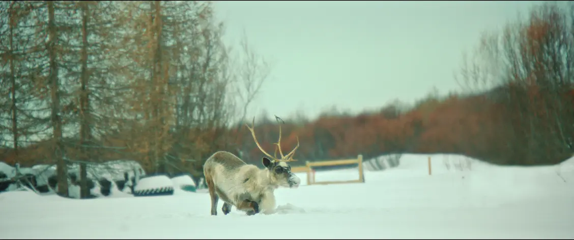 изображение галереи 1