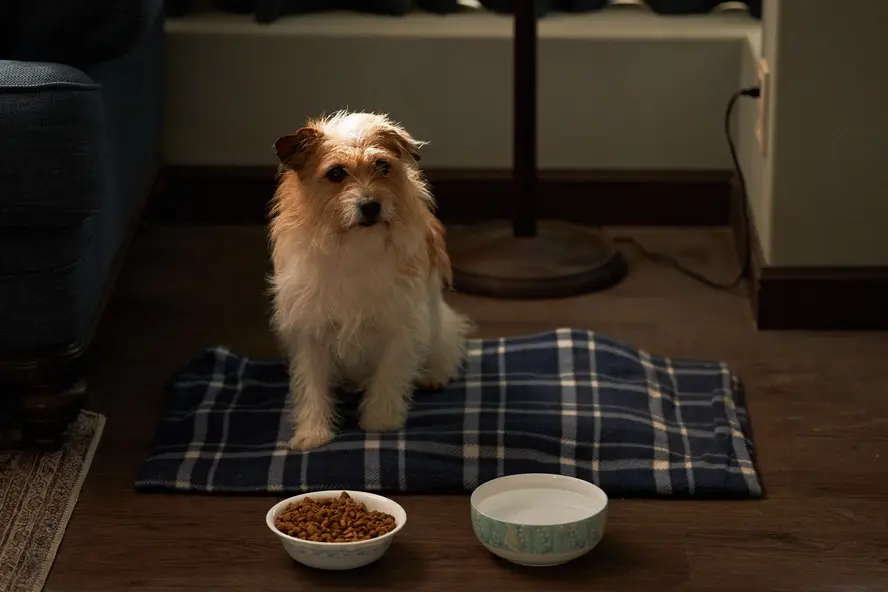 изображение галереи 1