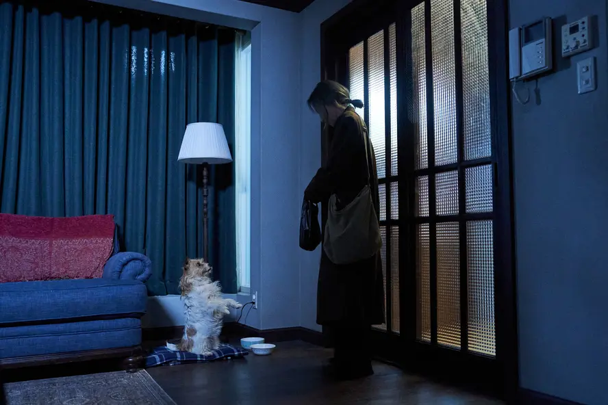 изображение галереи 1