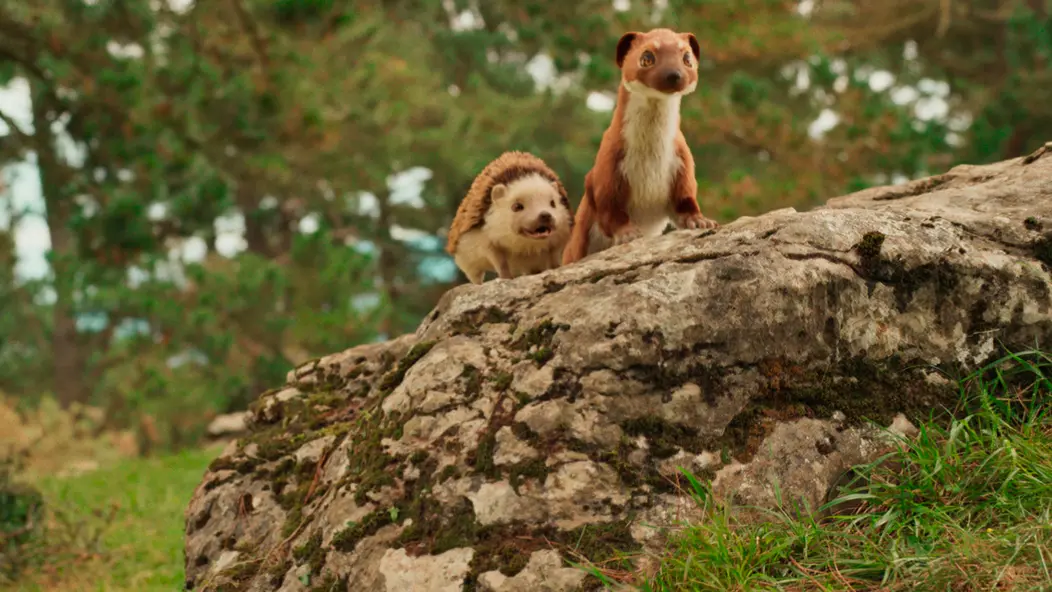 изображение галереи 1