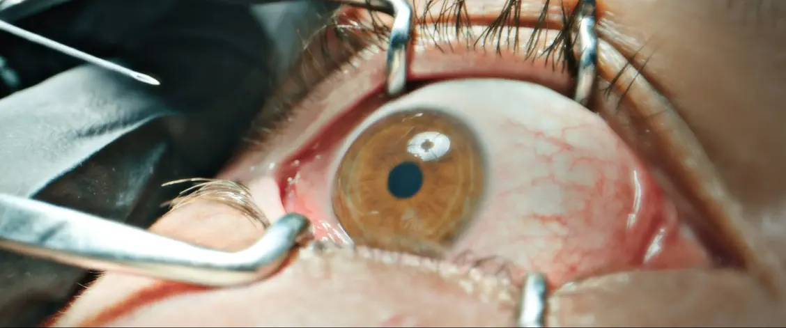 изображение галереи 1