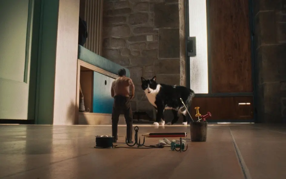 изображение галереи 1