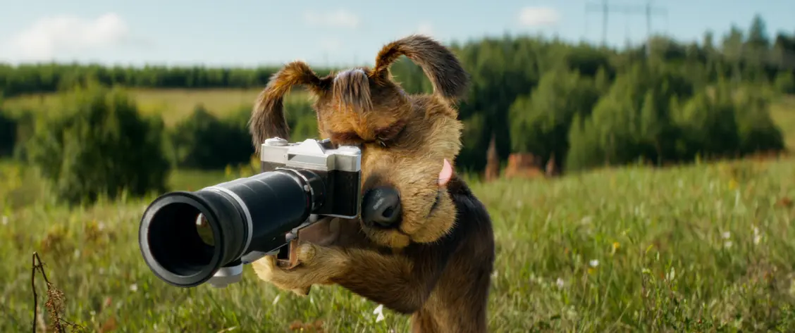 изображение галереи 1