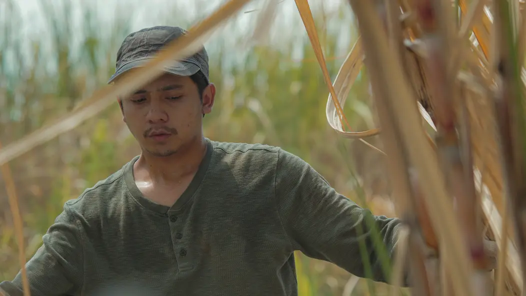 изображение галереи 1