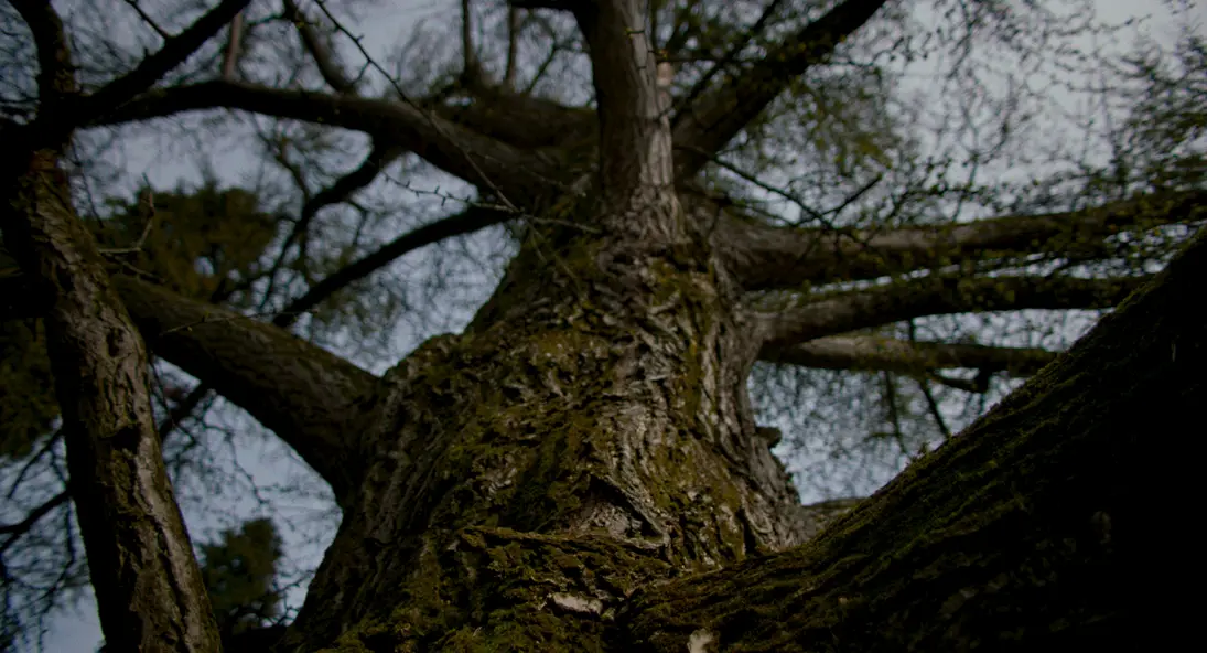 изображение галереи 1