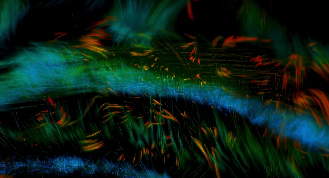 изображение галереи 1