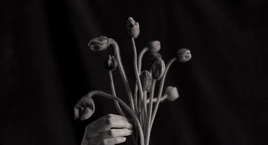 изображение галереи 1