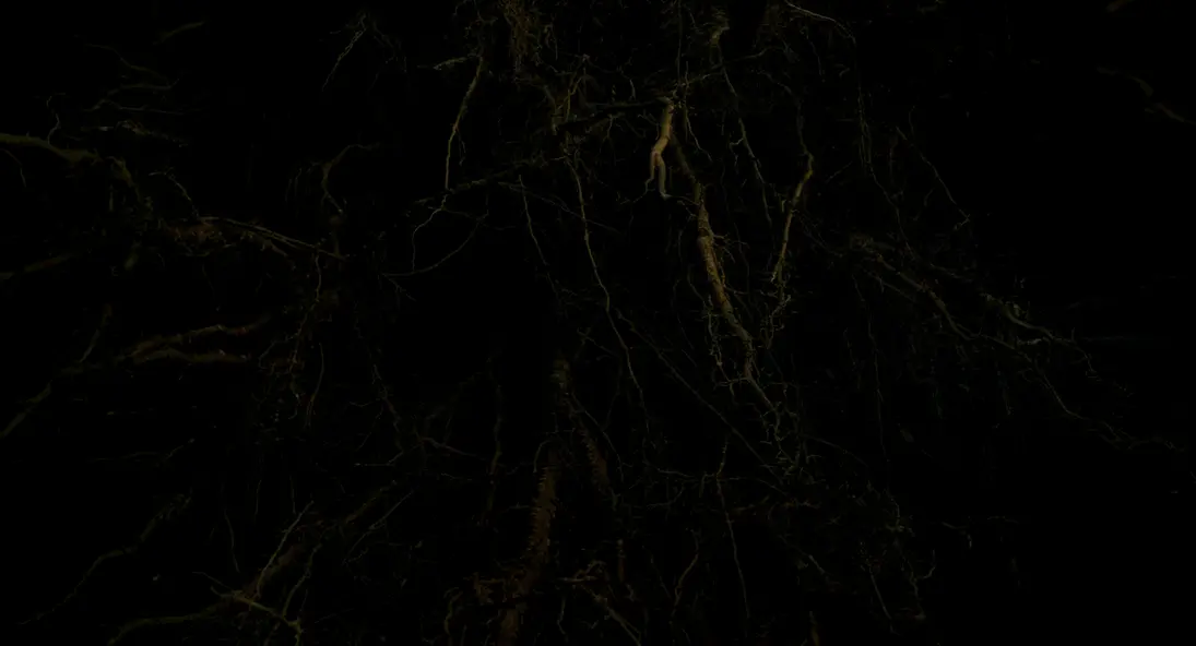 изображение галереи 1