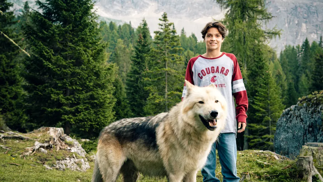 изображение галереи 1