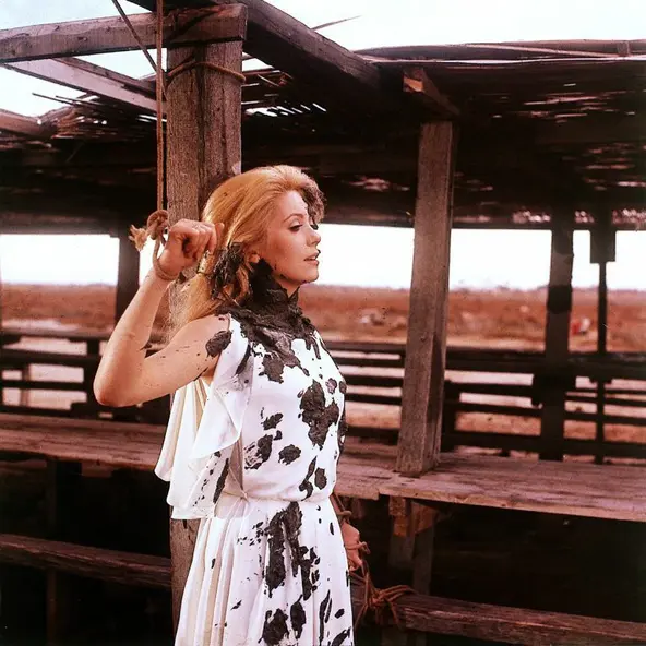 изображение галереи 1