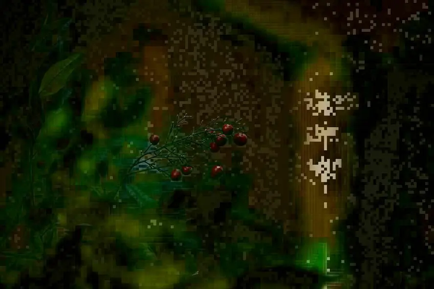 изображение галереи 1
