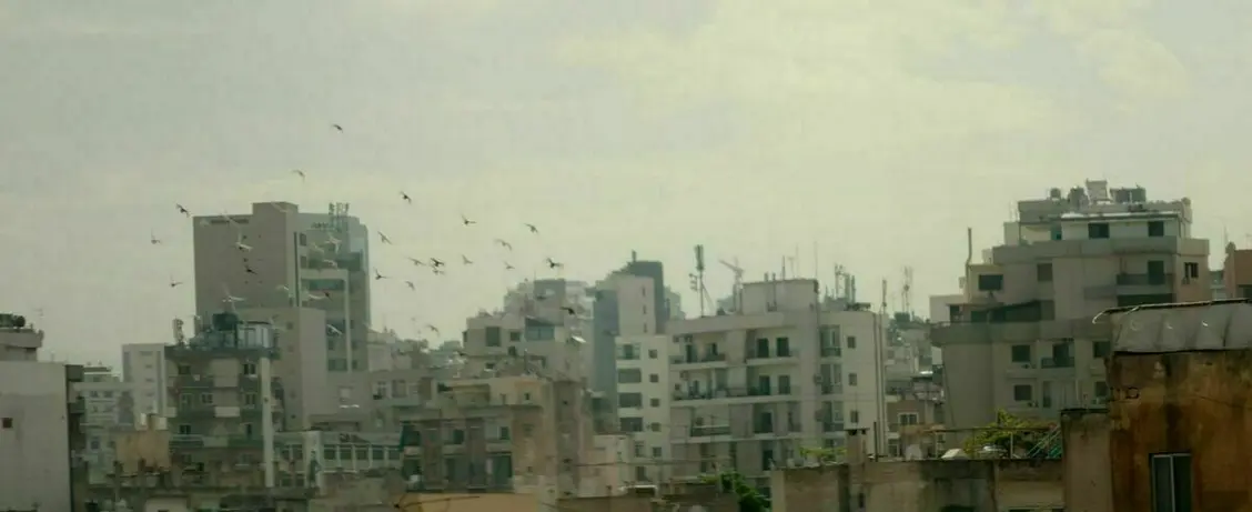 изображение галереи 1