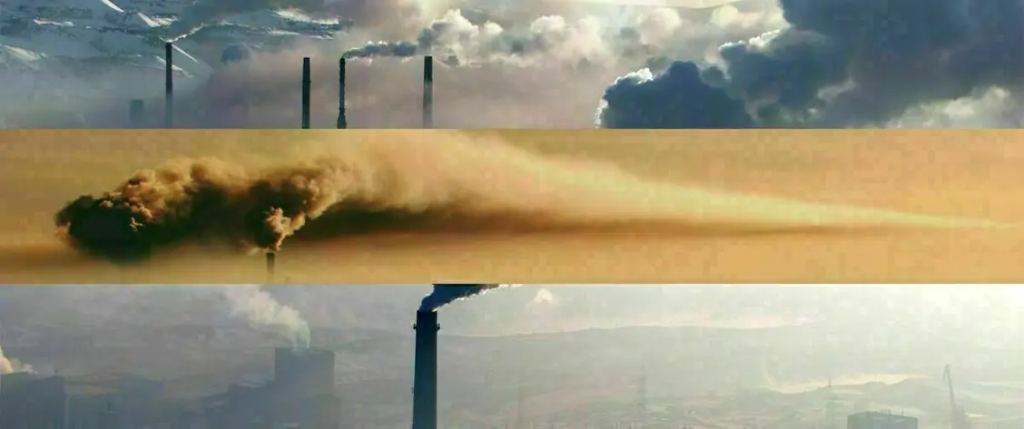 изображение галереи 1