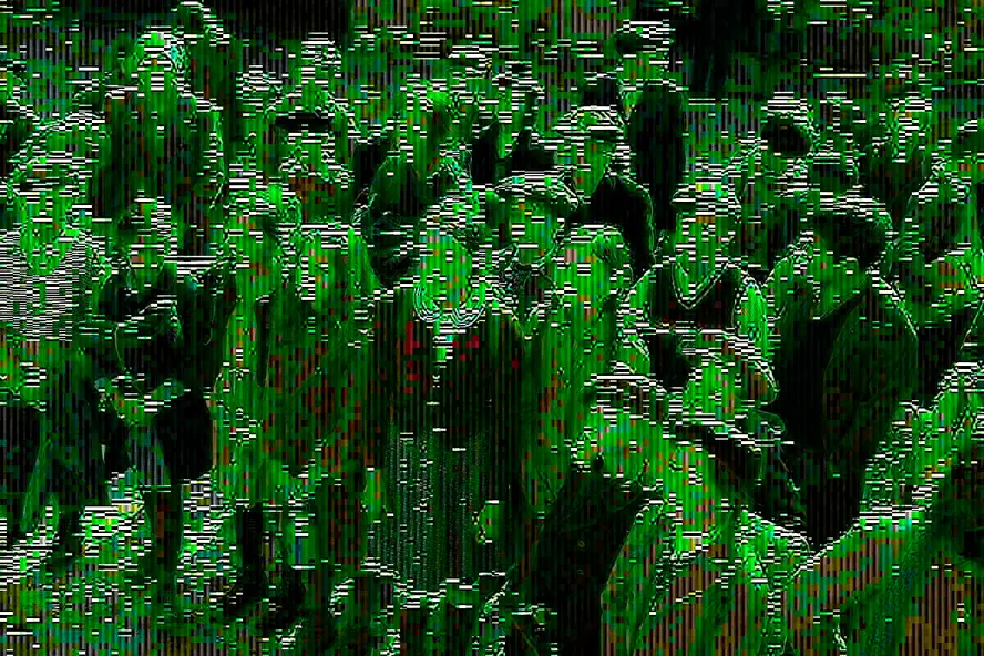 изображение галереи 1